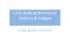 Ciclo delle performance Sistema di budget