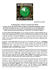 Comunicato Stampa "Buio Pesto Tour 2014"