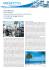 In Florida tra spiagge bianche e motoraduni
