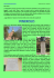 Newsletter 09 - Pinerolo