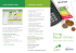 Energy Report Online