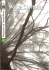 Documento (File "Voce Comune 57" di 4,71 MB)