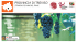 Brochure della Strada dei Vini del Piave