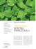 Articolo Completo (Formato PDF)