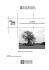 l`albero - Consorzio ONG Piemontesi