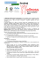 Il “Wellness Festival Pieve di Cadore 2015”, che si