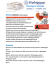 venerdi` 7 ottobre 2016