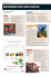 Il Corriere Vinicolo n°26 di settembre dedicato alle vendemmiatrici
