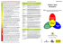 Flyer Gesundheitcheck Diabetes italienisch 09-2012