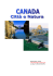 VIAGGIO INCENTIVE