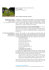 abstract and cv (PDF | 232.99 Kb)