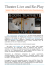 ITA_THEATRE LIVE AND REPLAY copia.pages