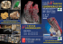 Pieghevole 2015 - Euromineralexpo