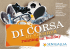 Guida agli impianti sportivi della Spiaggia di Velluto Guide to the