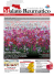 Notiziario AMRER n. 36 scarica il pdf