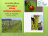 Presentazione di PowerPoint
