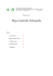Diego Carpitella: bibliografia. Con un`appendice nastro