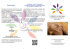 LISTINO PREZZI da MARZO 2015