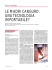 143 kB p.165 - Medico e Bambino