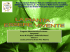 Diapositiva 1