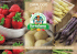 Scarica il catalogo Sapore e Salute in formato pdf