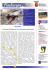 Newsletter n. 21 del 15/05/2009