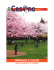 marzo_2015_nuovo cesano notizie
