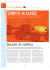 Scarica il pdf!