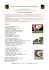 Corso di Specializzazione per Istruttore Agility Dog