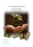Naturarte 10 - ic montegranaro