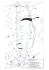 Scarica il file PDF