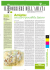 Scarica il file PDF