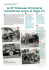 La 91st US infantry Division arriva al fiumePo