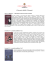 Giovani Adulti- Fumetti - Accademia dei Concordi