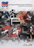 progetto 300
