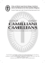Camilliani Camillians