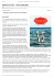 Minchia di mare – Arturo Belluardo
