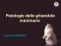 Modificazioni fisiopatologiche delle ghiandole mammarie nel gatto