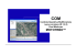 Presentazione COM Dual Mode (R.1.2.0)ITP