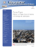 Newsletter - Notiziario Economico Farnesina