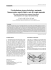 L`articolazione sterno-clavicolare