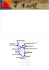 MAPPA e PROGRAMMA COMPLETO