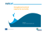 Strengthened technical capacity for sea turtles