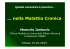 Momcilo Jankovic pdf