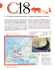 estratto in PDF