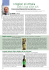 I migliori oli d`Italia Italy`s top olive oils