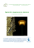 Pipistrelli e inquinamento luminoso