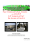 Piano Triennale dell`Offerta formativa