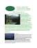 reve house - Le Reve House Adventure
