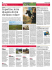 Articolo Il Giornale di Vicenza